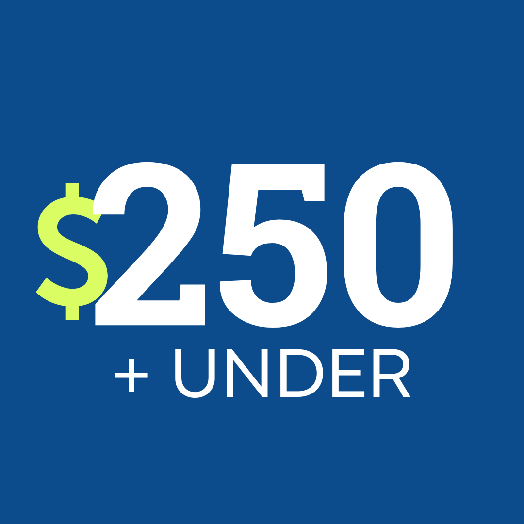 Gift Guide $250 & Under