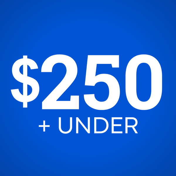 Gift Guide $250 & Under